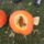 4-019_1552804_6986_t