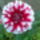 Fenykep0014_1552040_3861_t