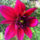 Img_20121013_132522_1552023_4541_t
