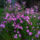 Img_20121013_133137_1552022_2685_t