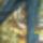 Farmernadragom1_1553891_8110_t