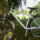 Kalocsai mintával festett bicikli