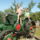 P1260813_1553184_3172_t