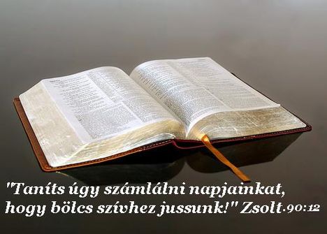 Áldott,szép napot kivánok!