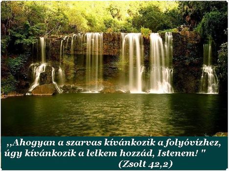 Áldott,szép napot kivánok!