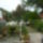 Kert_a_teraszrol_nezve_1554790_7017_t