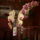 Orchidea-003_1554783_1520_t