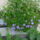 Viragok_oktoberben_14_1554813_6424_t