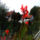 Img_20121013_132305_1555510_2125_t