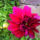 Img_20121013_132426_1555509_6477_t