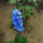 Img_20121013_132700_1555524_8956_t