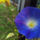 Img_20121013_132755_1555522_5629_t