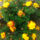 Img_20121013_132928_1555520_4781_t