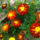Img_20121013_132934_1555525_1809_t