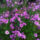 Img_20121013_133124_1555531_5157_t