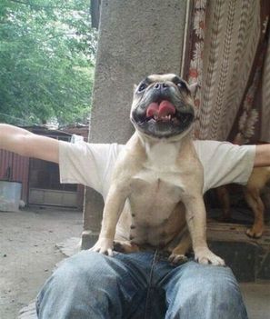 5191