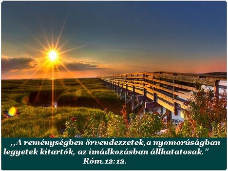Áldott,szép  napot!