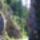 Bild6271_1557544_4483_t