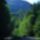 Bild6288_1557534_6824_t