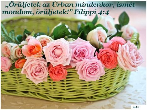 Áldott,szép napot kivánok!