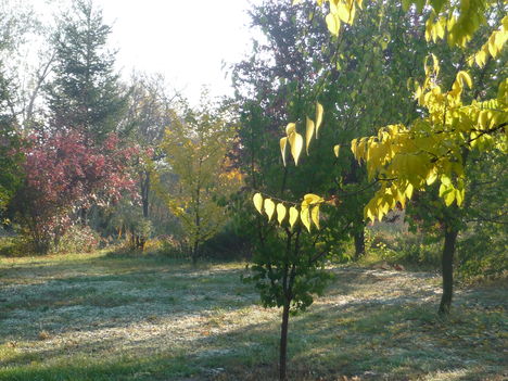 Fények az őszi kertben