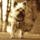 Miniatura_1558844_6030_t