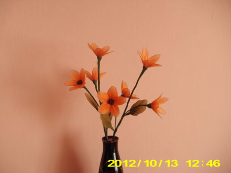 harisnya virágaim 108
