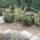 Viragok_014-003_1559165_6940_t
