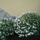 Viragok_016-003_1559172_7052_t