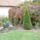 Viragok_021-002_1559167_1132_t