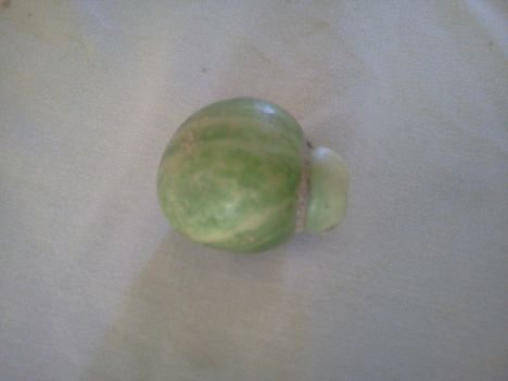 Egy érdekes formájú uborka