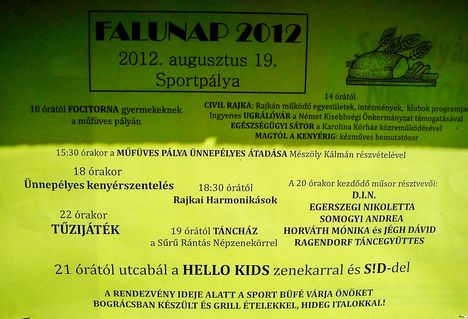 Falunap 2012