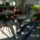 Homezovasarhely_szokecukinyalas_ulve_1505059_6386_t