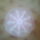 Kep0034_1550512_6817_t