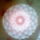 Kep0036_1550517_6484_t