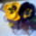 Kep0069_1550519_4683_t