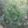 Most_ilyen_a_selyemmalyvam_1505337_6990_t
