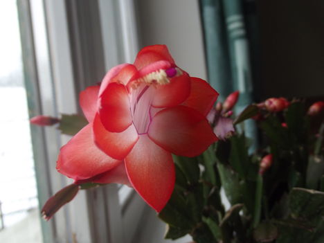 2012.10.29. 7,30 6