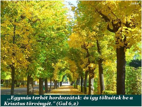 Áldott, szép napot kivánok!