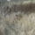 Edeske_es_a_facan_026_1561081_4136_t
