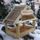Madarak_2-002_1561846_6961_t