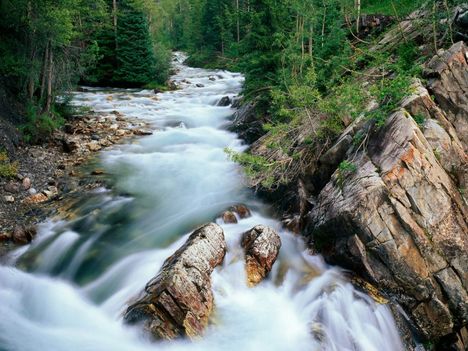Crystal_River_Gunnison_National_Forest_Colorado