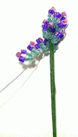 levendula,virág minta 4