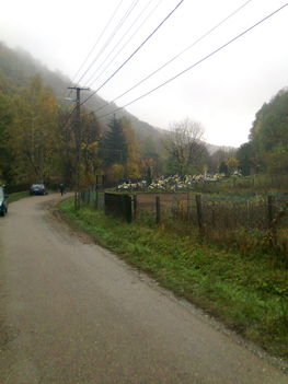 Répáshuta-temető felé