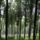 Matraszentlaszlo_bukkos_1565952_8511_t