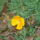 P1110634_1565401_4849_t