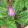 P1110636_1565389_7190_t