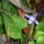 P1110637_1565392_5790_t