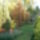 P1110638_1565385_6659_t