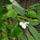 P1110639_1565396_5345_t